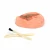Import Dino egg  Excavation Kit 12 Unique Dinosaur Eggs Dig Discover 12 Cute Dinosaurs Archaeology Fossil Education Toys from China