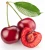 Import Dried Rainier Cherries 20lb Bulk Box 2020 from South Africa