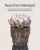 Import Durable root control succulent square pot good air system cactus planter white color plastic flower pot from China