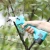 Import Durable Scissors Garden Hot Sales Electric Pruner Pruning Shear Electric With Low Price from China