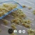 Import Durum wheat Farfalle pasta made by durum wheat semolina from China