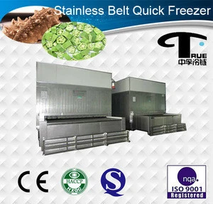Economical Food quick freezing tunnel equipment