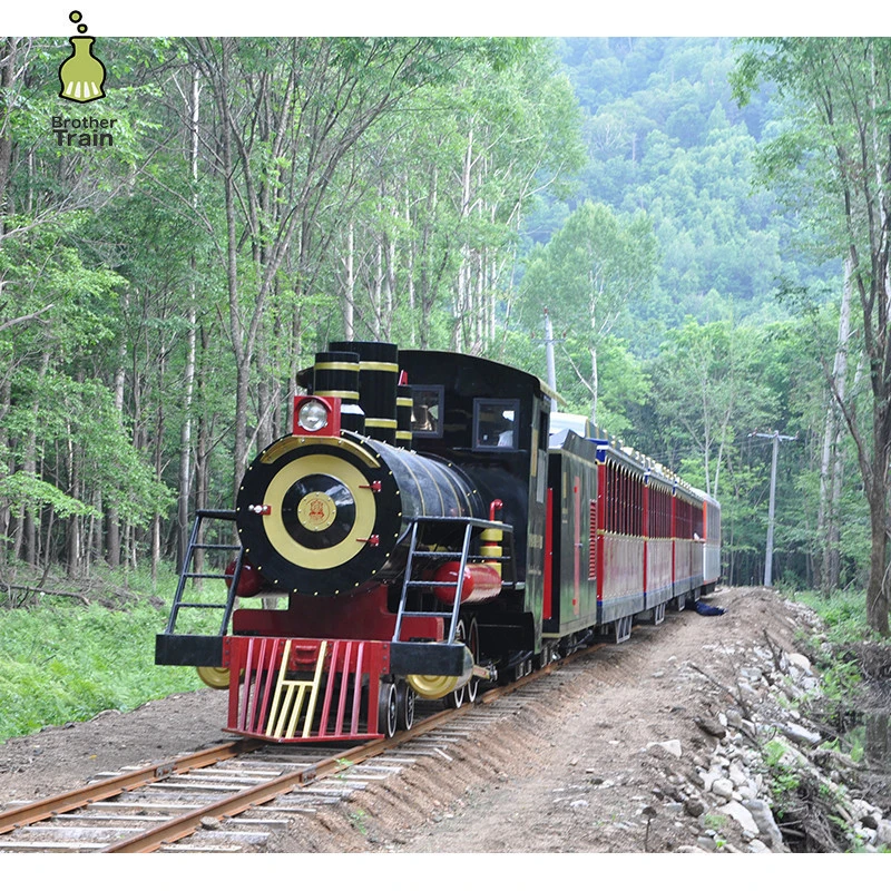 Buy Electric Park Amusement Ride Diesel Train Custom Locomotive from ...