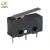 Import electronic 25t85 micro switch with hinge lever from China