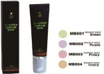 everface makeup base