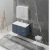 Import Export flat packing  discount bathroom vanity from China