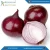 Import Export Quality Fresh Red Onion from India