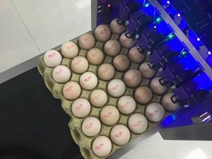 Factory direct supply egg printer high quality eggs inkjet printer