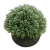 Import Factory Directly Sale Small Aritificial Plants Bonsai from China