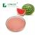 factory supply 100% natural watermelon fruit powder