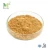 Import Factory Supply Hot Sell Organic Burdock Root Extract Powder from China