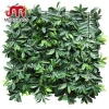 Factory wholesale uv protected plastic artificial green wall panel artificial wall climbing plants