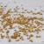 Import Famous Birds Food Supplies Hulled Yellow Broomcorn Bird Millet from China