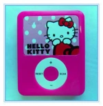 Fashion Mini FM Radio/Portable Radio