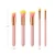 Import Fashion Quality Personal Care Foundation Pink Yellow Cosmetics Makeup Tools 5pcs Powder Brush from China