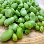 fava beans