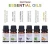 Import Fragrance Oils for Aroma Diffuser 500ml Fragrance essential oils International Popular Flavors from China