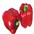 Import Fresh Bell Peppers Orange Mild Spicy Capsicum from South Africa