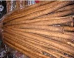 Fresh Burdock