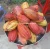 Import FRESH CACAO FRUIT +84984418844 from Vietnam