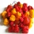 Import Fresh Capsicum from South Africa