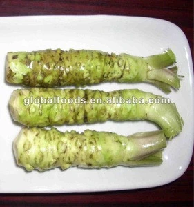 Fresh Horse Radish Global Foods FOB origin fresh horseradish root