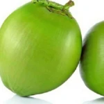FRESH NATURAL COCONUT EXCELLENT TO EXPORT