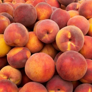Fresh Red sweet peaches from South Africa
