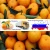 Import Fresh Tangerine price/Wholesale nanfeng baby orange/Mandarin orange price from China