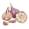 Fresh White Garlic , Purple Garlic for sale ready to export from Egypt season 2019