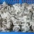 Import Frozen Blanched Baby Octopus Flower from China