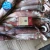 Import Frozen Squid Frozen Illex Squid 300-400gr from China