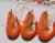 Import Frozen Vannamei Shrimp from China