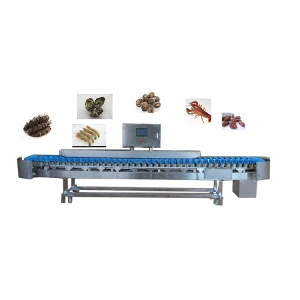 Full automatic tray type sea cucumber sorting machine