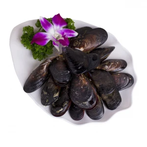 Good quality Frozen whole shell blue Mussel
