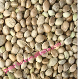good quality hemp Seed on sale(2014 crop)