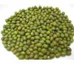 Green mung bean Moong dal sprout mung beans use for sale