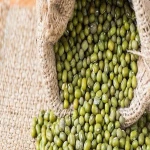 Green Mung Beans / Green Gram /Moong Dal / Vigna Beans (Red Ruby)