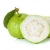 Import Guavas from India