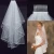 Import Hen Party Decoration Short Two Layers Wedding Veil White Bridal Tulle Veils Bachelorette Party Veiling with comb &amp; Wrapped Edge from China