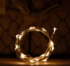 Hesheng Battery Operated Graland LED String Lights Home Decoration Christmas Decor Holiday Lighting Remote USB Copper Wire light