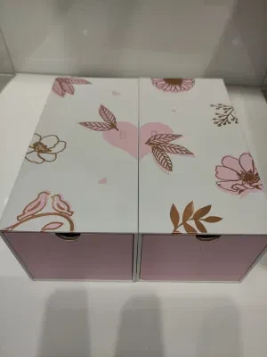 High Fashion Designed Cardboard Printing Packaging Box with Magnet