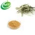 High quality 40%Polyphenols White Tea Extract