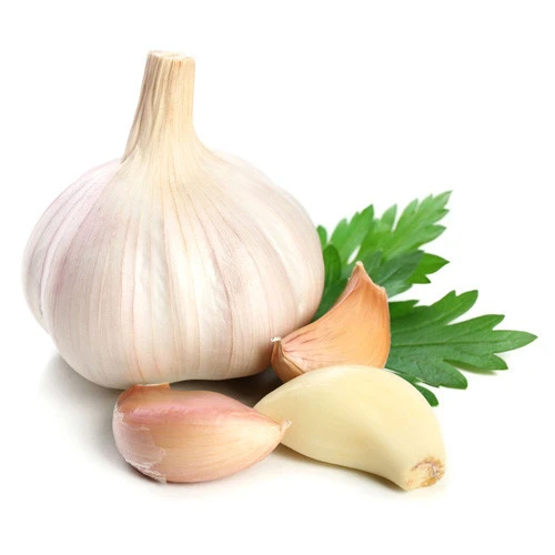 High Quality Fresh White Garlic Cheap Price High Quality Global Gap from Vietnam