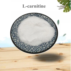 High Quality L Carnitine Powder 99% L-Carnitine/L- Carnitin CAS 541-15-1