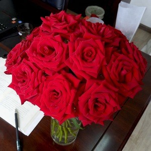 High Quality Natural Rose Flowers Fresh Cut Flowers Red Roses From Kunming China