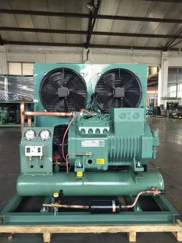 High Quality Open-type low temperature Air-cooled refrigeration condensing Unit for cold storage