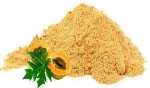 High Quality Papaya Fruit Powder