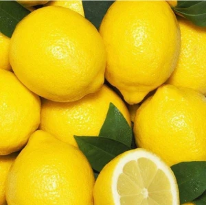 High quality tropical fresh fruit Yellow Count Sweet Lemon size and Lime Fresh lemons from China