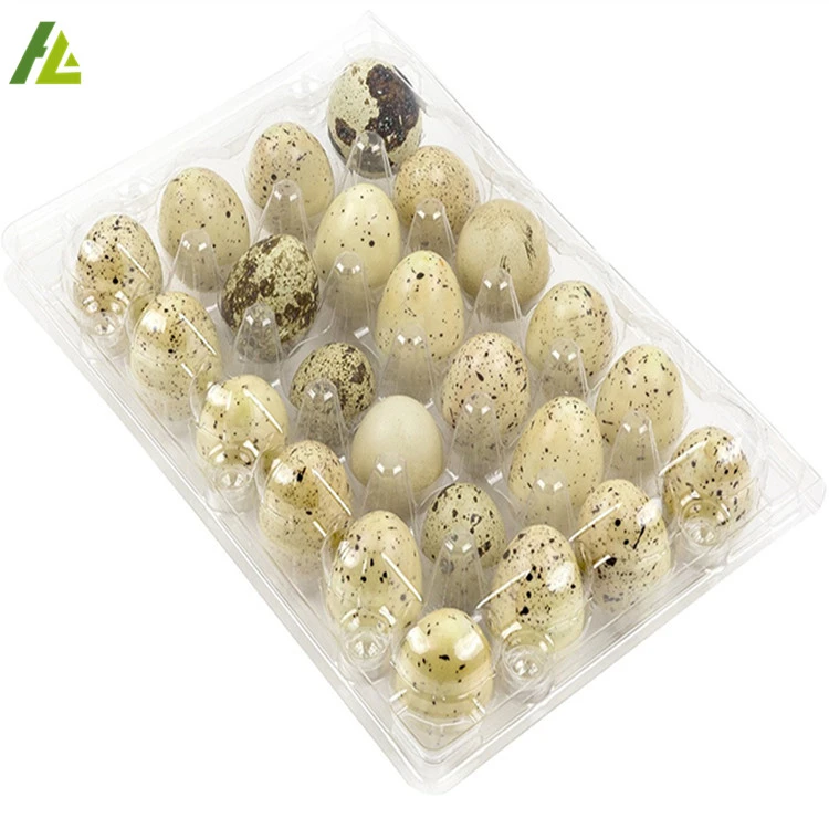 holes clear disposable plastic quail egg tray price